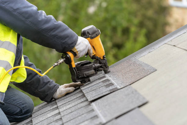 Best Roof Moss and Algae Removal  in Killen, AL