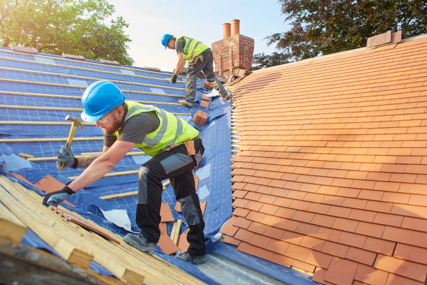 Best Solar Panel Roofing Installation  in Killen, AL